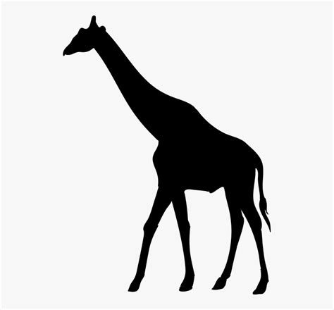 animal silhouette pictures